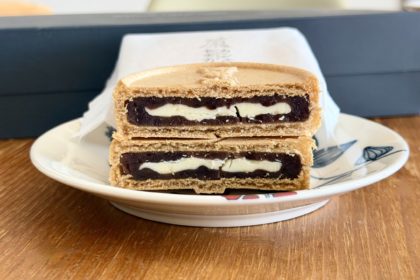シーラカンス モナカ6個入